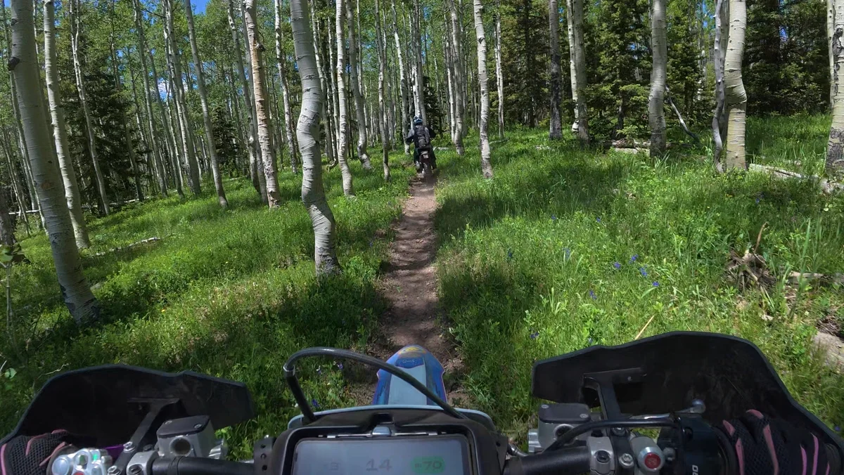 Rider's view down a singletrack trail through aspens and wildflowers, another rider ahead.